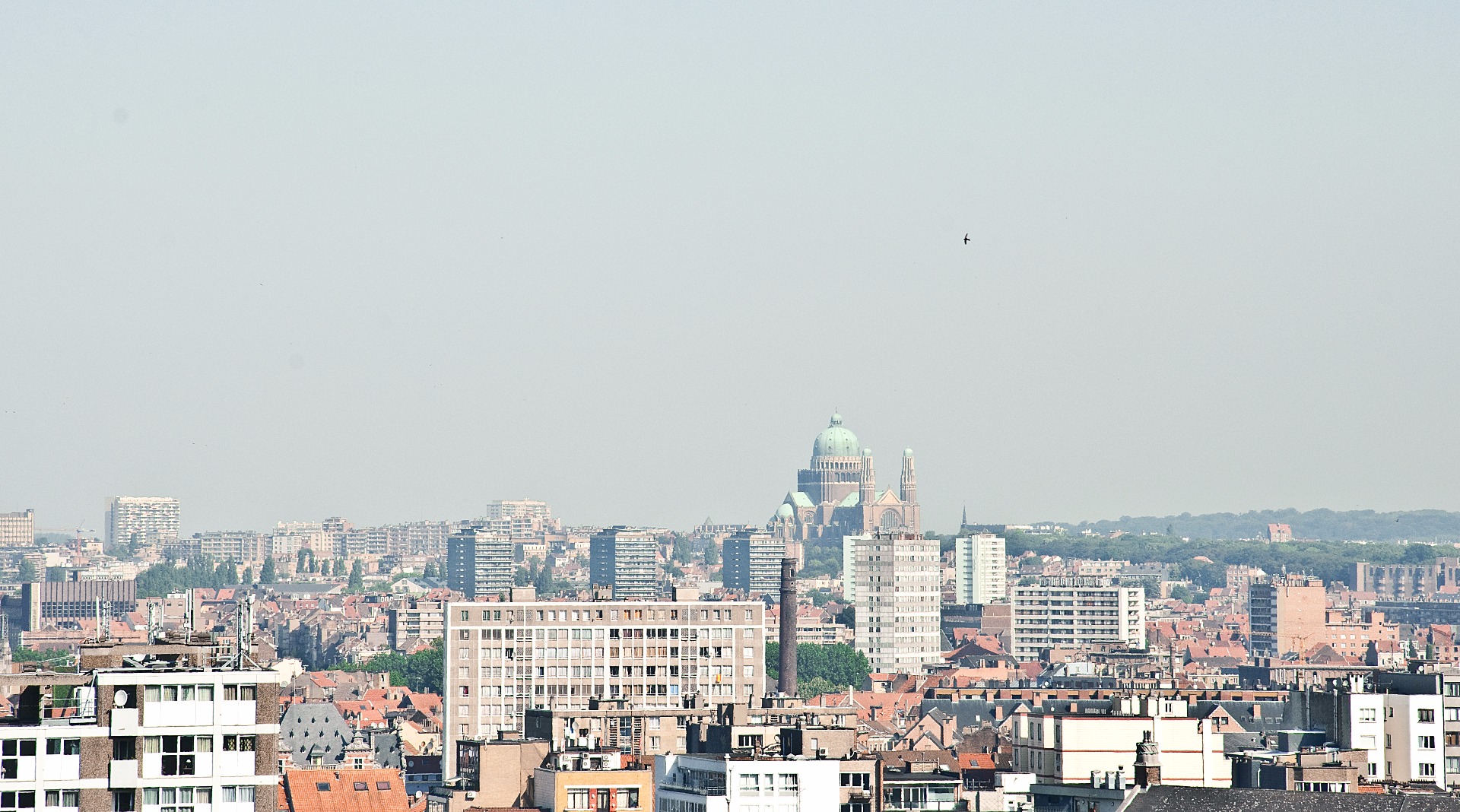 rendement locatif belgique